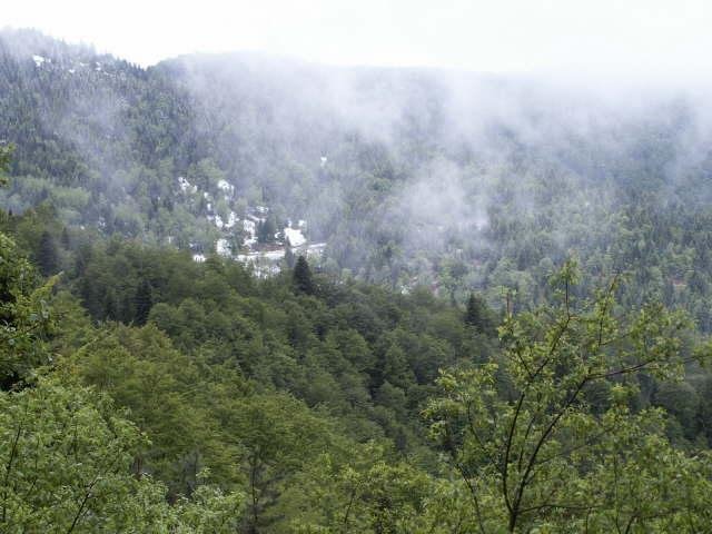 Frankreich_2003 (01).jpg