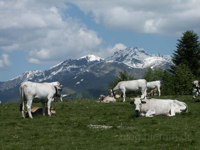 Frankreich_2003 (38).jpg