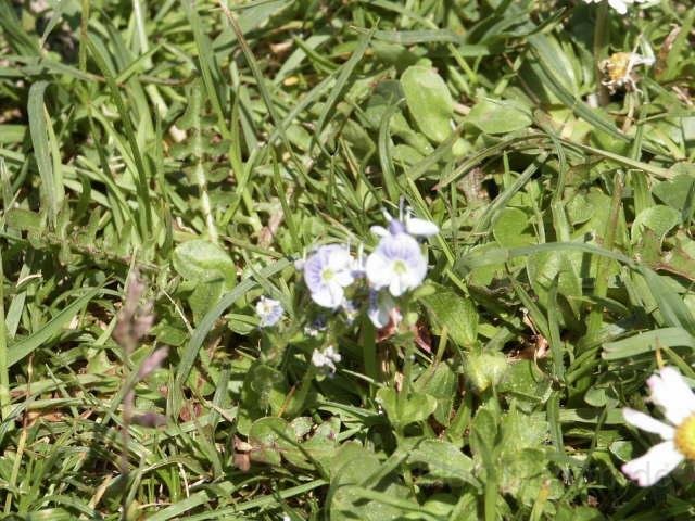 Frankreich_2003 (45).jpg