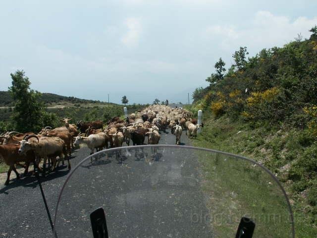 Frankreich_2003 (49).jpg