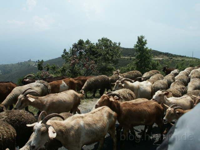 Frankreich_2003 (50).jpg