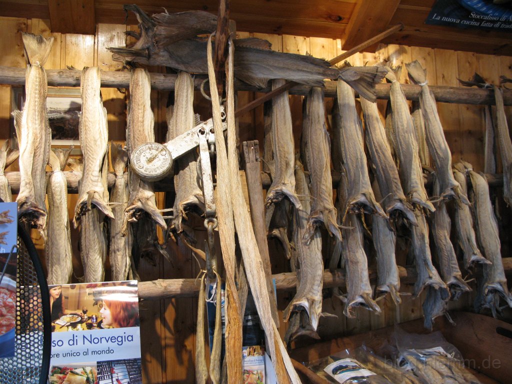 Norwegen 2008 -  (89).jpg