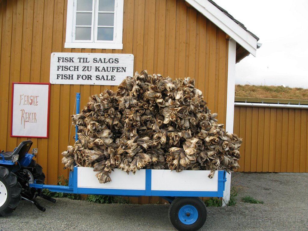 Norwegen 2008 -  (90).jpg